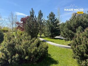 Сквер Прибережний у Дніпрі розквітає на початку травня