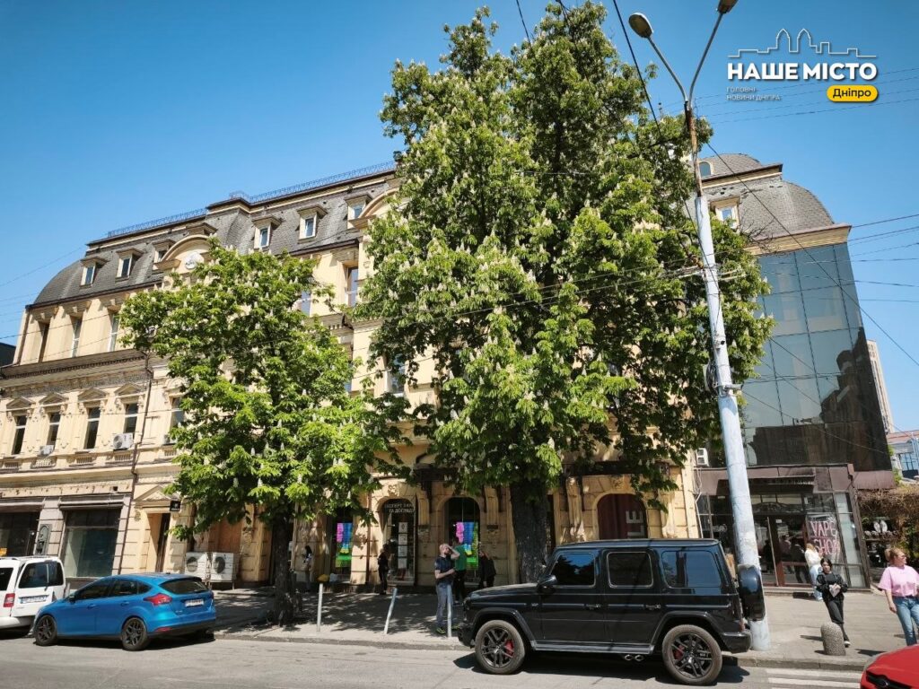 У Дніпрі розпочався сезон цвітіння каштанів