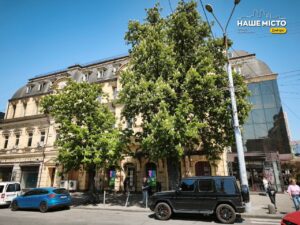 У Дніпрі розпочався сезон цвітіння каштанів