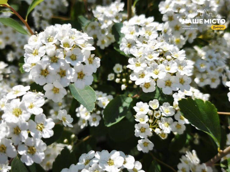 Вознесіння Господнє 21 травня: традиції та заборони свята
