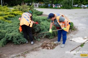 У Дніпрі триває догляд за зеленими зонами міста