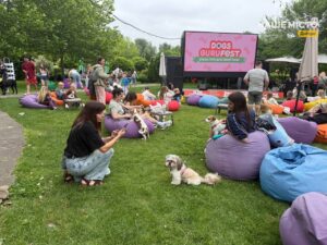 У Дніпрі проходить Dogs Guru Fest із басейном і караоке для собак