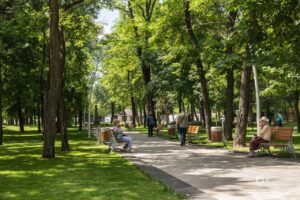 У Дніпрі триває системний догляд за зеленими зонами міста