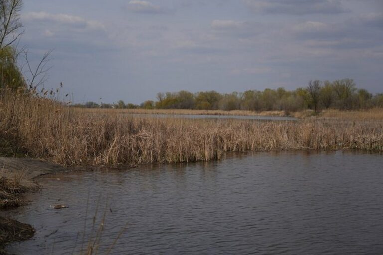 Частина водойм Дніпропетровщини не відповідає санітарним нормам