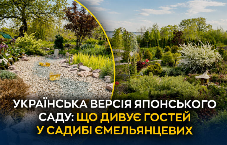 Японський сад із українським колоритом у садибі Ємельянцевих біля Дніпра