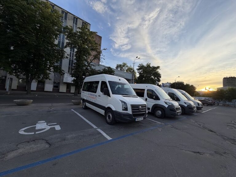 У Кривому Розі та Чернігові запустили безкоштовні авто для людей з інвалідністю