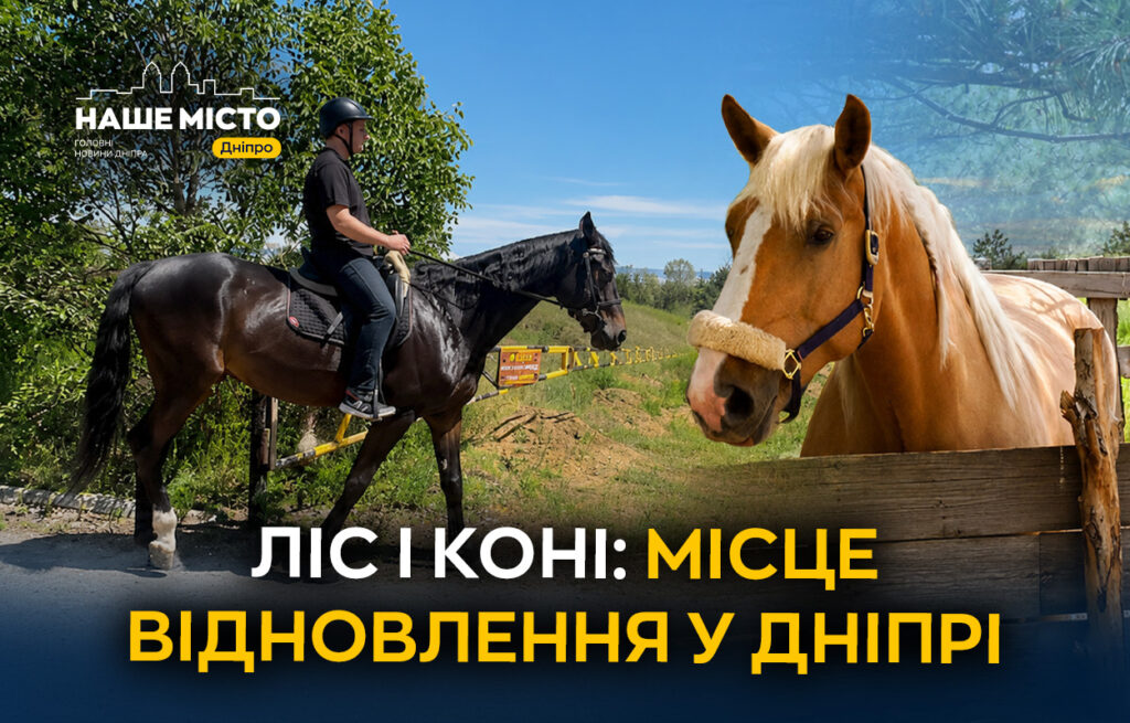 Іпотерапія в Дніпрі: реабілітація військових у лісовому кінному клубі