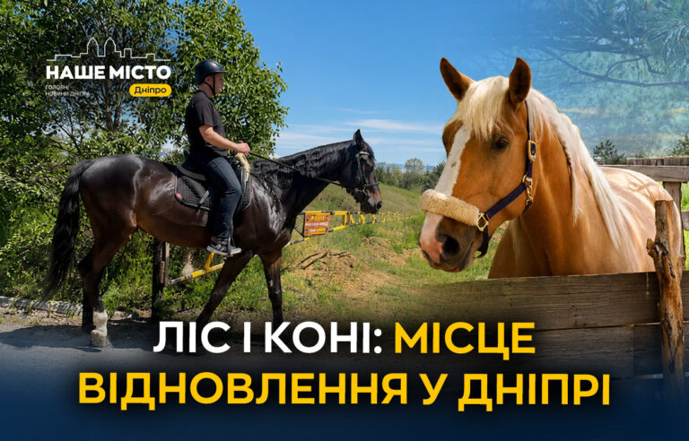Іпотерапія в Дніпрі: реабілітація військових у лісовому кінному клубі