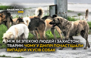Чому у Дніпрі зростає кількість нападів собак і як убезпечитись
