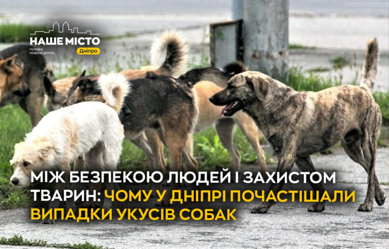 Чому у Дніпрі зростає кількість нападів собак і як убезпечитись