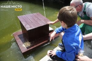 У парку Глоби встановили дерев’яні будиночки для качок