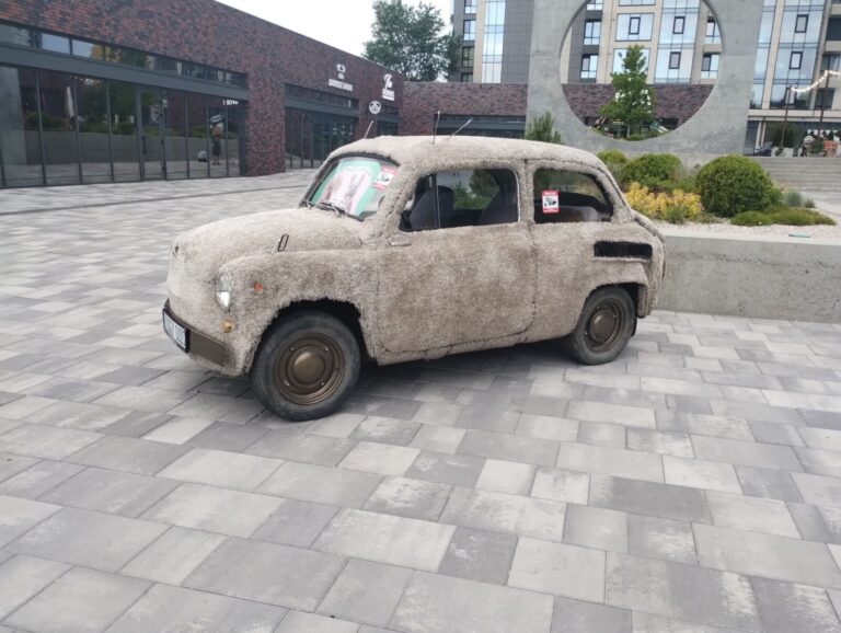 У Дніпрі на житломасиві Перемога з’явився «плюшевий» автомобіль