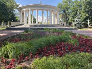 У Дніпрі цвітуть лаванда, троянди та бегонії: сезон яскравих клумб