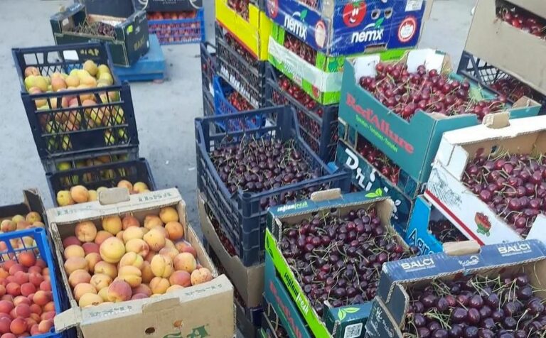 Черешня по 50 грн за кг: ціни на гуртовому ринку біля Озерки