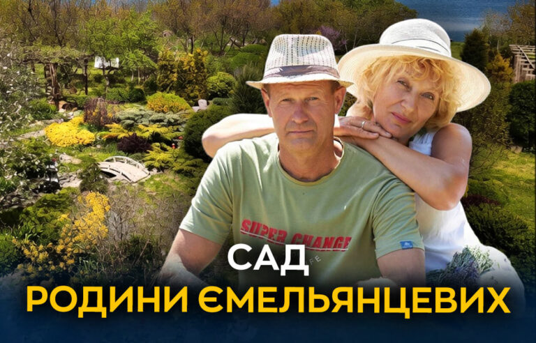Сад родини Ємельянцевих — зелений оазис біля Дніпра
