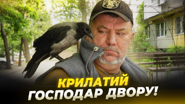 У дворі на Осінній у Дніпрі оселився ворон Жорік