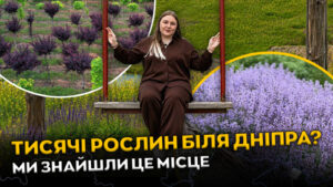 У Спаському: великий розсадник та популярні фотозони біля Дніпра