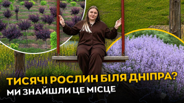 У Спаському: великий розсадник та популярні фотозони біля Дніпра