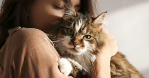 Життя після стерилізації: особливості поведінки та харчування у домашніх улюбленців
