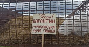 Новий спалах африканської чуми свиней у Криворізькому районі