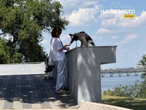 Парк Шевченка в Дніпрі: прохолода, краєвиди та відпочинок у зеленій зоні