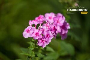 5 серпня: свято Євсигнія Антіохійського, прикмети та забобони