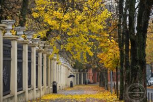 Погода у вересні 2026: якою буде осінь в Україні