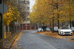 Вереснева погода в Україні: що очікувати на початку осені
