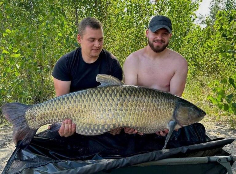 У Дніпрі виловили білого амура вагою понад 30 кг