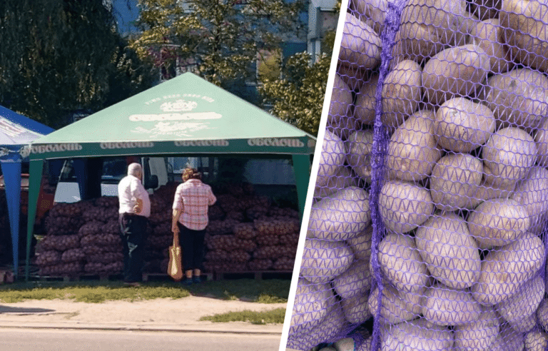 В Україні очікують дефіцит картоплі та зростання цін восени