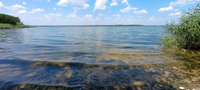 У семи водоймах Дніпропетровщини виявили холероподібний вібріон