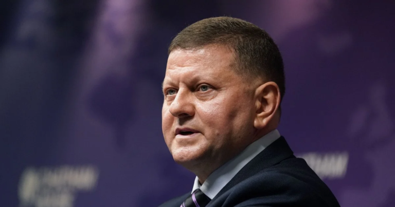 Залужний жартома відповів критикам щодо англійської мови