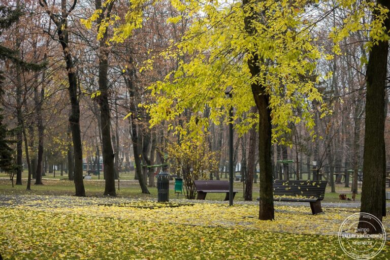 Ніч у Дніпрі минула без обстрілів: ситуація на ранок 26 вересня