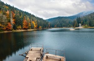 Вересневі подорожі до Закарпаття: терми, вино та традиційна кухня
